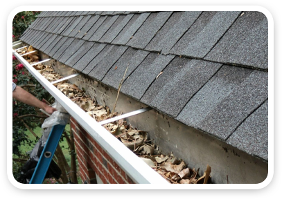 Website Sections 01 Before