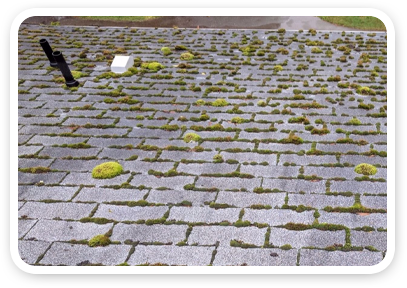 Website Sections 02 Before