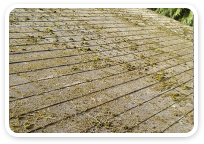 Website Sections 03 Before