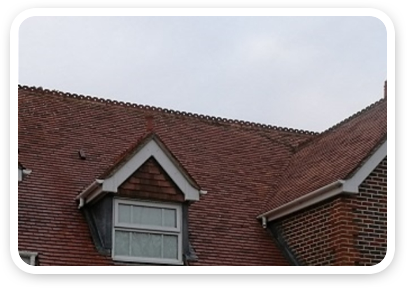 Website Sections 04 After